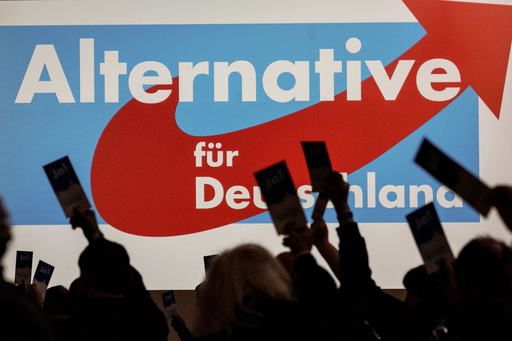 AfD in Umfragen klar zweitstärkste Kraft in Deutschland