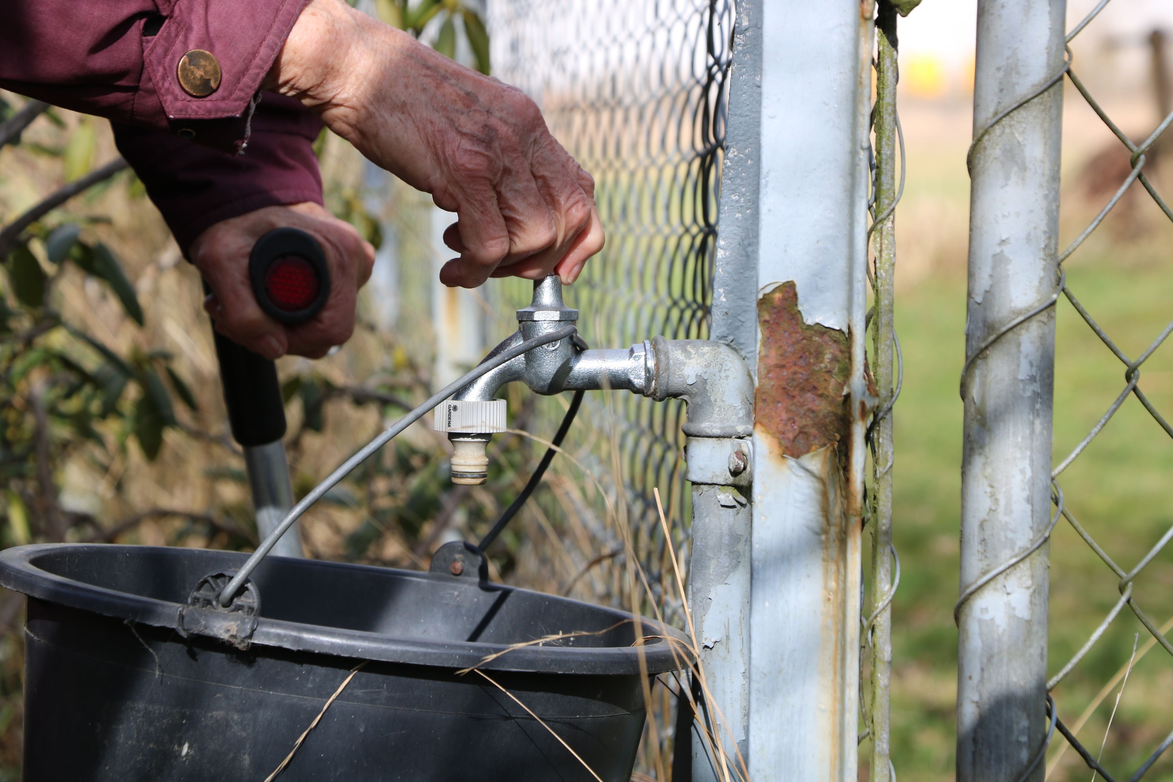 Nitrate levels in private wells are sometimes significantly exceeded