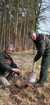 Reimund Ritzrow (l.), Sachbearbeiter für Holzvermarktung, und Jürgen Abendroth, Revierleiter in Meiersberg, haben jetzt einen Wildapfel auch hier gepflanzt.  FOTO:ZVG
