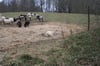 Zu Wochenbeginn berichtete der Nordkurier über die sterbenden Schafe in Lindenberg. Das Schicksal der Tiere bewegt viele Menschen.