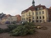 Kurzen Prozess machten am Montagmorgen Stadtwerker mit der Weihnachtstanne auf dem Teterower Marktplatz. Elf Wochen hatte der Baum hier überdauert.