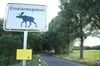 An einer Straße nahe Dobbirkow in Brandenburg steht ein Schild zur Warnung von Elchen.
