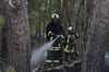 Die Feuerwehr im Einsatz bei einem Waldbrand nahe Penzlin.