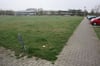Groß und grün ist die Fläche gegenüber der Neuen Friedländer Gesamtschule. Hier ist ein Senioren-Wohndorf geplant. 