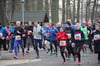 Start zum Torgelower Waldlauf: Mehr als 100 Sportler waren beim Auftakt der Saison dabei.
