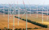 Wie nah aneinander sollen Windparks gebaut werden dürfen? Mit dieser Frage hat sich der Landtag beschäftigt.