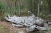 Eine Restaurierung der Statue des Sowjet-Soldaten kostet zwischen 12 000 und 15 000 Euro. Seit vielen Jahren rottet sie auf dem Regiehof vor sich hin.