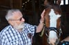 Peter-Michael Seiler mit seinem Lieblingspferd Shirley. Ihn faszinieren die Korrespondenzen, die zwischen Mensch und Tier entstehen können.