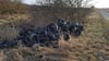 Der Reifen-Müllberg in Malchow ist nur einer von vielen Fällen von illegal abgeladenem Unrat in der Uckermark.