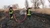 Die Feuerwehren am Haff haben viel zu tun. Gerade am Dienstag brannte eine Schilfgürtelfläche bei Leopoldshagen.
