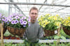 Bei Gartenbauer Jens Hauke haben die Kunden die Qual der Wahl, beispielsweise bei 28 Sorten großblumiger Petunien.