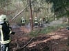 Die Freiwillige Feuerwehr Torgelow löschte einen Waldbrand in Richtung Liepgarten.