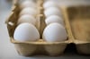 Im Sommer gelangten mit dem Insektengift Fipronil belastete Eier in den Handel.