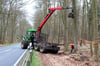 Im Kirchenforstrevier an der B 109 zwischen Templin und Kreuzkrug haben Forstunternehmen Bäume zur Verkehrssicherung gefällt.