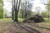Bisher haben die Sarower drei große Haufen Totholz aus dem Park gesammelt.