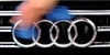 Die Pasewalker Bundespolizei hat einen in Berlin gestohlenen Audi sichergestellt.