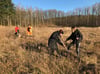 Weil sie bei einer illegalen Party im Brodaer Holz Schäden angerichtet hatten, pflanzen junge Menschen am Wochenende 2500 Ahorn-Bäume.