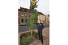 Malchins Super-Blume ist in der Basedower Straße zu finden. Die Sonnenblume von Gerhard Marzinke bringt es auf 3,36 Meter.