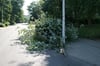In der Koszaliner Straße in Neubrandenburg hatte der Gewittersturm einen großen Ast auf Gehweg und Fahrbahn stürzen lassen. 