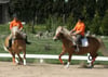 Mareike Ribbel und Laura Kast führten zum zehnjährigen Jubi-  läum des Pferdehofs Scholz ihre Reitkünste vor.  FOTO: FG
