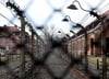 Im KZ Auschwitz-Birkenau soll Hubert Z. bei der Ermordung mehrerer Tausend Gefangenen geholfen haben.