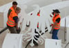 Monteure tragen den Vogel des Anstoßes in den zukünftigen Plenarsaal. Foto: Ralf Hirschberger