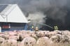 Die Schweinezuchtanlage in Alt Tellin wurde fast völlig zerstört. Die Feuerwehr konnte noch verhindern, dass das Feuer auf ein Biogasanlage übergriff.