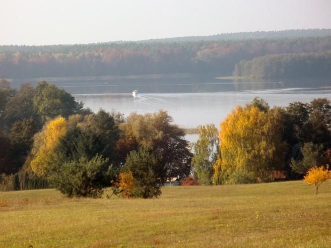 Hier ist Karl, der Käfer, willkommen!