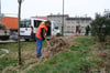 Frühjahrsputz in Woldegk: Die Mitarbeiter der GWW holen eine Menge totes Gestrüpp aus den Rabatten.