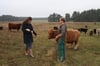 Markus Poland züchtet schottische Hochlandrinder bei Klein Trebbow. Gemeinsam mit Katja Gabelmann (im Bild) und Susanne Schwarz hat er Lokal.Kost gegründet, um regionale Erzeuger zu vernetzen.