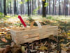 Ein Mann hat in einem Wald bei Ludwigslust die Leiche einer Frau gefunden (Symbolbild).