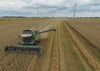 Das Idealbild: Ein Mähdrescher erntet Weizen auf einem Feld nahe Mallnow.