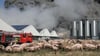 Umweltschützer befürchten neue Mega-Anlage für Schweinezucht in Alt Tellin