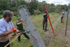 Mitarbeiter des Landesbetriebes Forst Brandenburg errichteten Ende September nahe am Grenzfluss Neiße einen festen Zaun gegen die Afrikanische Schweinepest.