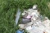 Hakenkreuz-CD in illegalem Müll am Peenedeich entdeckt