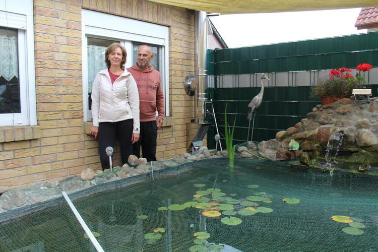 Schon wieder Goldfische aus einem Gartenteich geangelt