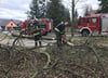 Kameraden der Freiwilligen Feuerwehr Templin zersägten Äste des umgestürzten Baumes in der Röddeliner Straße.