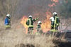 Damit es nicht zu solchen Waldbränden kommt, ist bei Osterfeuern in diesem Jahr besondere Vorsicht geboten (Symbolbild).