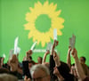 Ein Jahr nach dem Einzug in den Landtag kommen die Grünen Mecklenburg-Vorpommerns zu ihrem Landesparteitag zusammen.