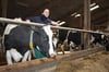 Herdenmanagerin Isabell Fechner kümmert sich bei der Agrargenossenschaft Luisenhof ums Wohl der Kühe.