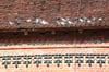 Das Kirchdach ist beliebter Sammelplatz der Malchiner Tauben.