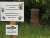 Im vergangenen Jahr hat die Schülerfirma ihre Bienen auch an der Blühwiese vor dem Schloss Kummerow platziert.