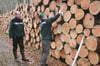 Im Forstrevier Wilhelminenhof misst Revierleiter Reiner Bartke (rechts) das an der Waldstraße liegende Holz auf. Forstamtsleiter Matthias Puchta (links) zufolge liegen hier insgesamt 600 Festmeter.
             