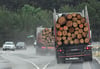 Holztransporter, aber auch andere schwere Lkw, gehören zum täglichen Bild auf den Straßen in der Uckermark. Seit Jahren werden um die Gefahren des Schwerlastverkehrs politische Diskussionen geführt.