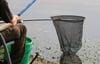 Angler in MV fordern Rückbau von Wasserkraftanlagen