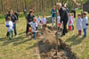 Bei ihrer Baumpflanzaktion erhielten die Kita-Kinder aus Milmersdorf und Joachimsthal  Unterstützung, unter anderem von Oberförsterin Heidrun Koch und Templins Bürgermeister Detlef Tabbert.
