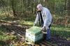 André Schwaßmann fand im Wald bei Sponholz nur noch einen leeren Bienenkasten. 