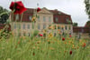 Wunderschön und immer wieder Motiv auch für Hobbyfotografen: Das Barockschloss Kummerow, an Schönheit mit den Blumen wetteifernd.