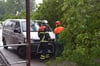 Gerade im Norden Neubrandenburgs stürzten mehrere Bäume um, teilweise auf parkende Fahrzeuge.