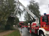 Die Prenzlauer Feuerwehr war am Montag mehrfach im Einsatz, weil Bäume umgekippt waren oder umzukippen drohten.